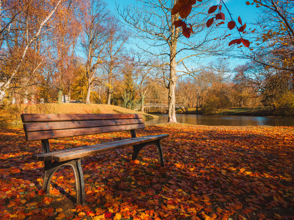 Bürgerpark | Entdecke exklusive Fotokunst aus Braunschweig: Bildband, Leinwände, Postkarten, Kalender, digitale Downloads & Bildlizenzen. Jetzt im offiziellen Beautiful Braunschweig Shop! - Realisiert mit Pictrs.com