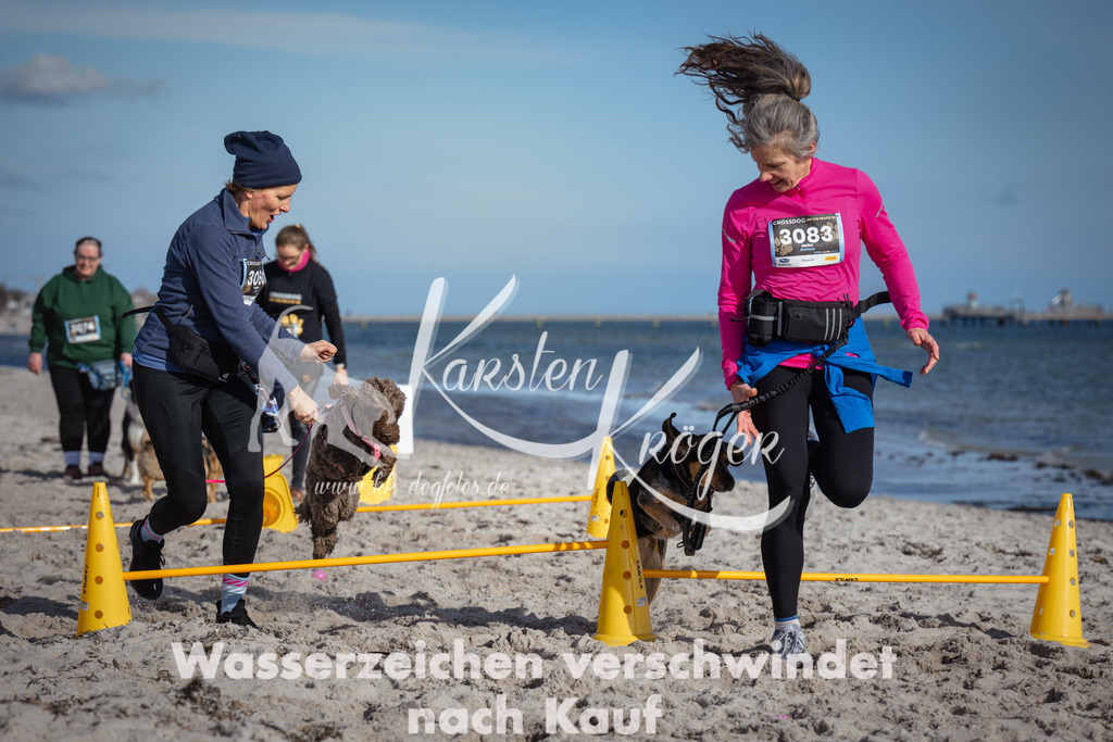 1348_ZZ93754 | kk-dogfotos