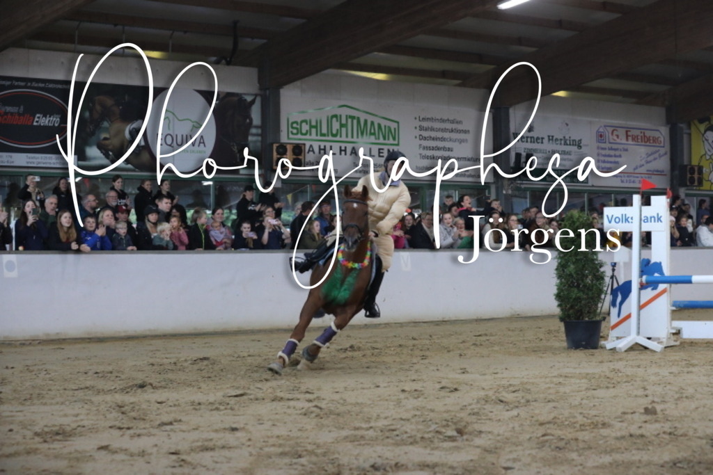 IMG_1908 | photographesa-joergens - Realisiert mit Pictrs.com