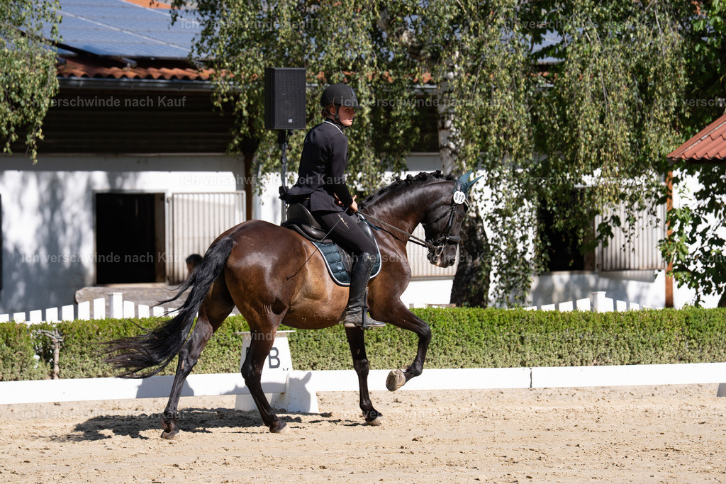 WA_DR_12_SinaFilmArt_IN01540 | working equitationturnier fotograf videograf stoibphotography marixx film working equitation deutschland reitsport turnierfotografie eventfotografie equestrian events