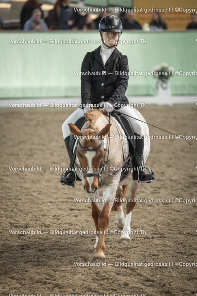 _D5A5576 | Emotionale Pferde- & People-Fotografie rund um Heidelberg, Leimen & Umgebung. Natürliche Fotos von Pferd, Mensch & Familie. Jetzt Termin sichern!