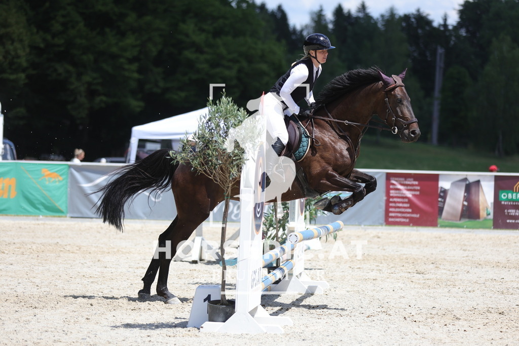 0P6A5556 | Willkommen bei Brunnmayr - Design & Fotografie – Ihrem Spezialisten für Reitturniere und Pferdeveranstaltungen in Oberösterreich, Salzburg und Bayern! Seit über 17 Jahren sind wir leidenschaftlich dabei.