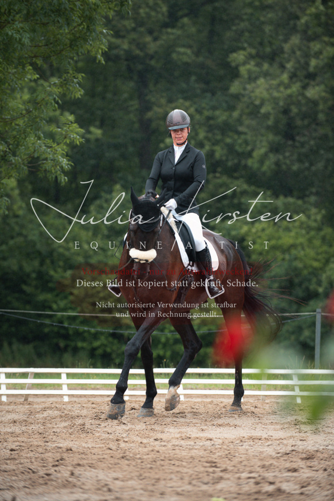 DSC_9712 | Pferde- und Turnierfotografie in Westsachsen. Pferdeportraits, Auftragszeichnungen und intuitive Kunst.