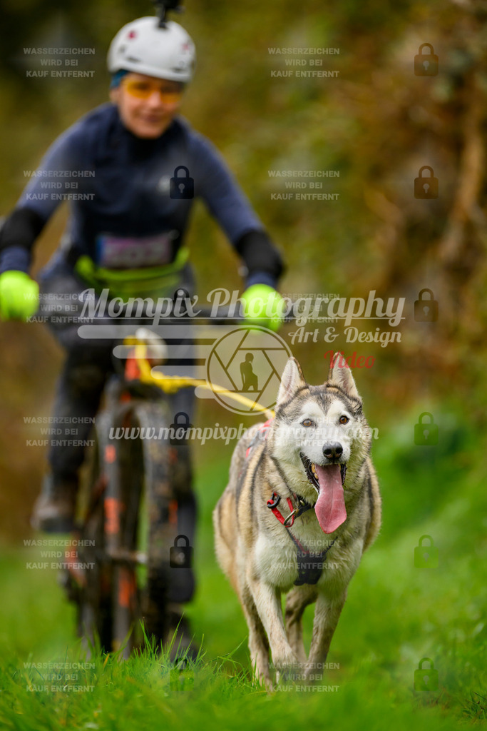 MompixPhotography_20TSB_E8_Bike-176 | PayLife