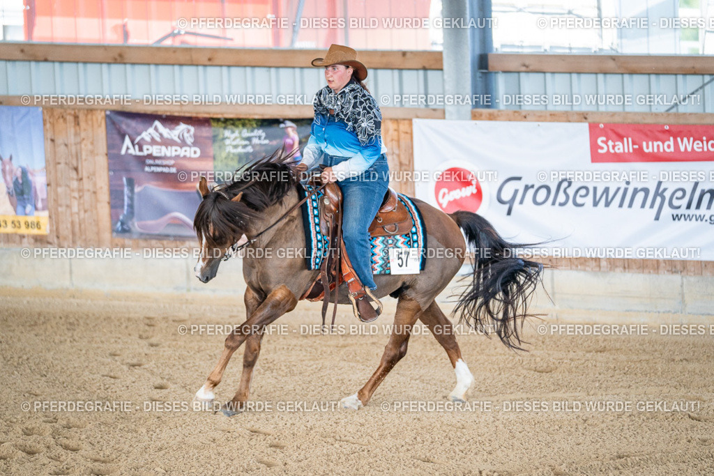 DSC01764 | Pferdegrafie