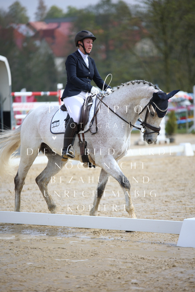 IMGT3299 | pl-fotografie