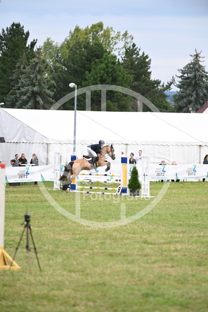 DSC_5101 | sattelsport - Realisiert mit Pictrs.com