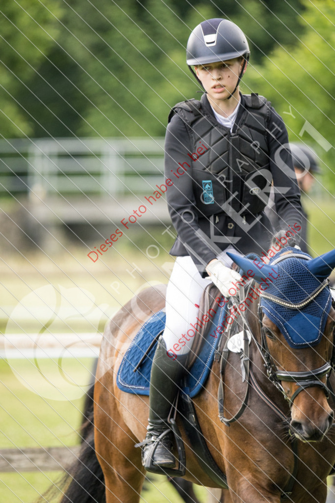 IMG_2542 | Sport-, Event- und Tierfotos in Profiqualität. Einfach auswählen, bestellen und herunterladen. Dein Moment – perfekt festgehalten.