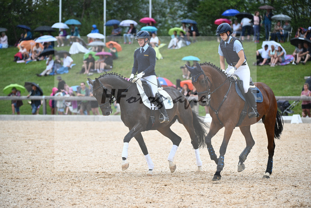 Sparten des Reitsports aus der eigenen Zucht_36240916 | hf-fotografie - Realisiert mit Pictrs.com