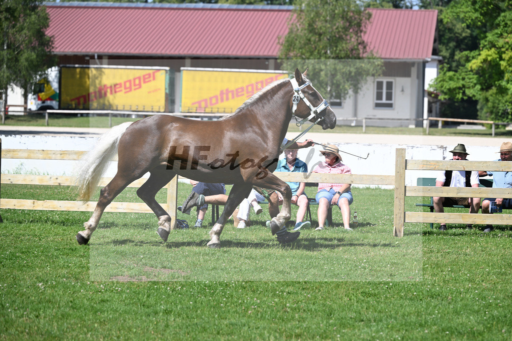 Kat-Nr. 24 Vanilla v. Napoleon_Wirtensohn_18250439 | hf-fotografie - Realizzato con Pictrs.com