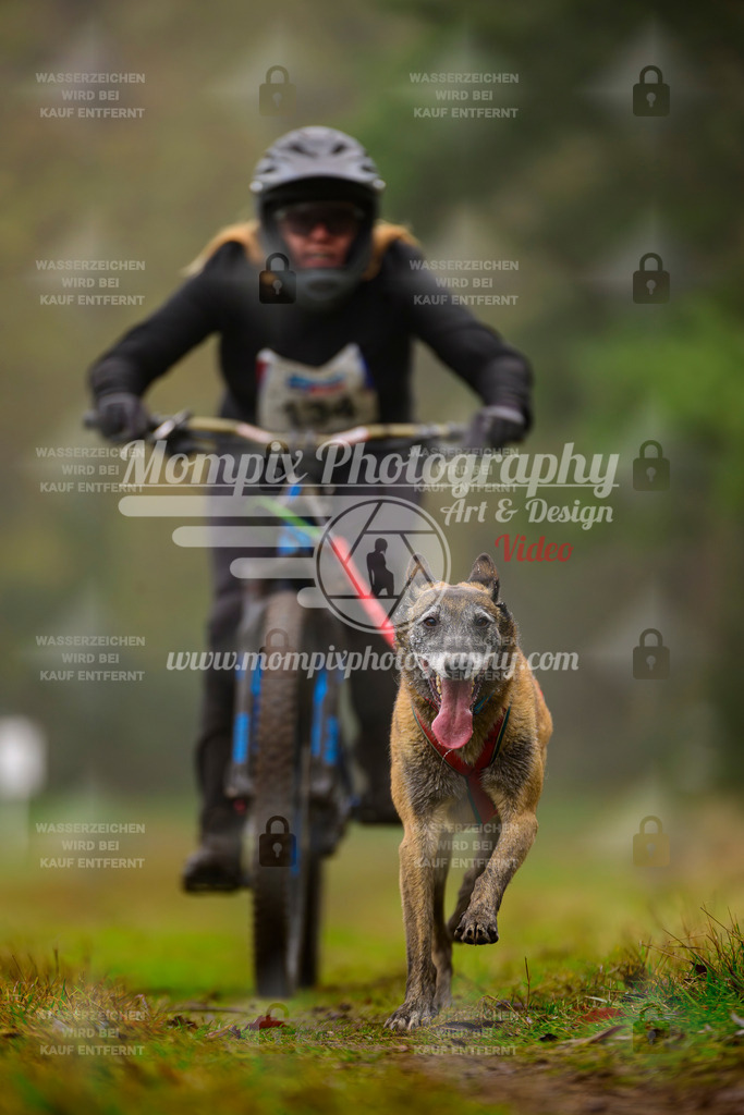 MompixPhotography_Bischwiller2025_Bike-70 | mompixphotography