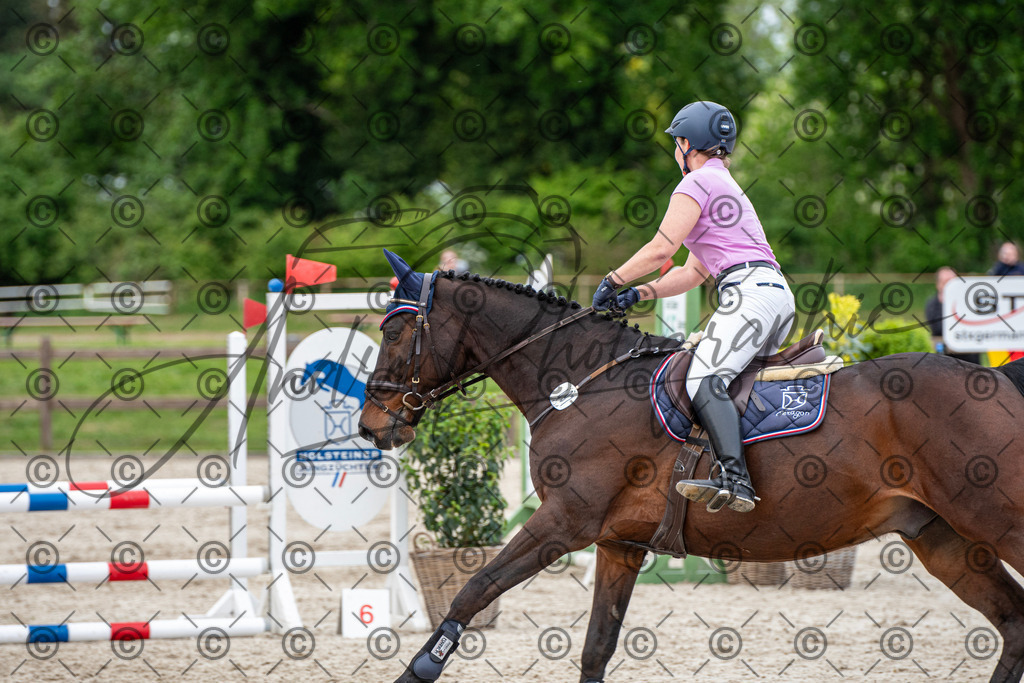 KPT_7313 | andre_photographic