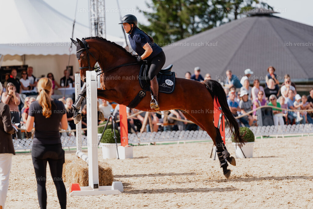 Nadine22_FHC2025-113 | working equitationturnier fotograf videograf stoibphotography marixx film working equitation deutschland reitsport turnierfotografie eventfotografie equestrian events