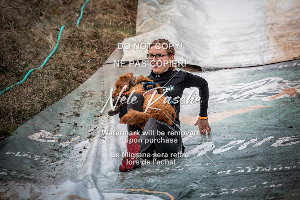 nelerasche_1330-1400_288 | nelerasche