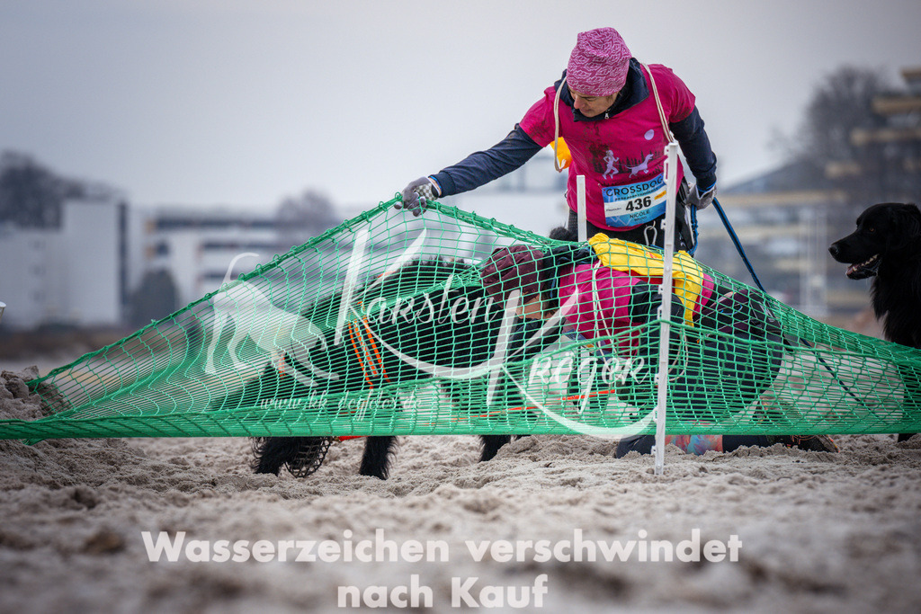 1217_ZZ93268 | kk-dogfotos