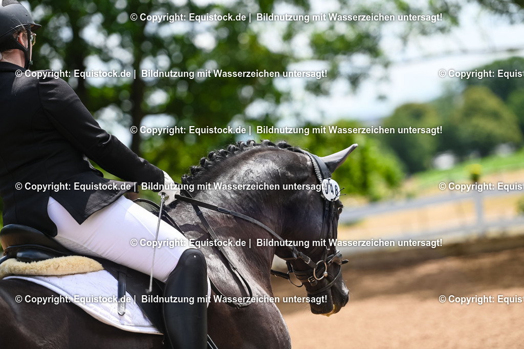 20230716_03_Dressurprfg. Kl.L - Tr._0185 | equistock