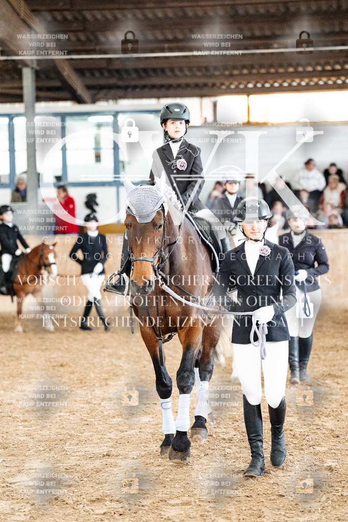 CK905642 | Turnierfotografie Pferdefotografie Trier Rheinland-Pfalz Pferdesport Reitsport Tierfotografie Sportfotografie Pferdevideo Pferdevideografie Equestrianvideography equestrianphotography  - Realized with Pictrs.com