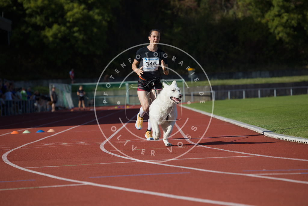 0L8A9400 | Hundefotografie, Tierfotograf, Pfotenfotografie, Fotoshooting Hund, Hunde Portrait, Hundesport, Hundeportraits, Heideshooting, Hunde, Sportfotograf, Hundefotograf, Turnierhundsport, THS,  - Realisiert mit Pictrs.com