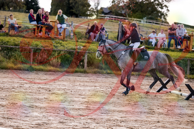 2026_10_03_Siefer-Hof_145111_Z81_29715048 | Professionelle Reitsport-, Turnier- und Eventfotografie von Robert Broda. Galerien mit ausgewählten und bearbeiteten Bildern direkt online ansehen und bestellen.