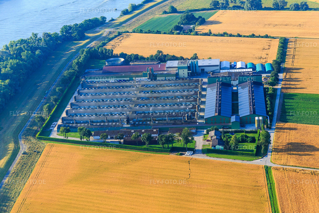Luftbild: hego Düngemittelwerk GmbH am Rheindamm in Gimbsheim im Bundesland Rheinland-Pfalz in Deutschland. Foto: IMG_091358.jpg vom 07.07.2016 durch Werner Riehm/FLY-FOTO.deHEGO-DUENGER.DE