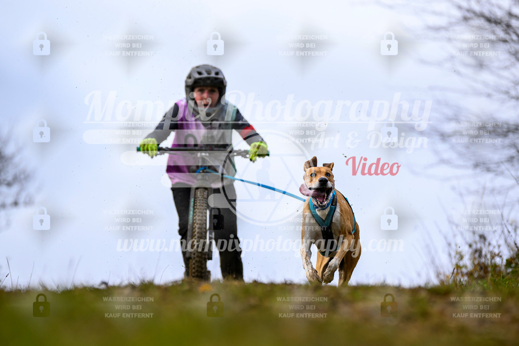 MompixPhotography_2OATB_SO_Scooter-31 | PayLife