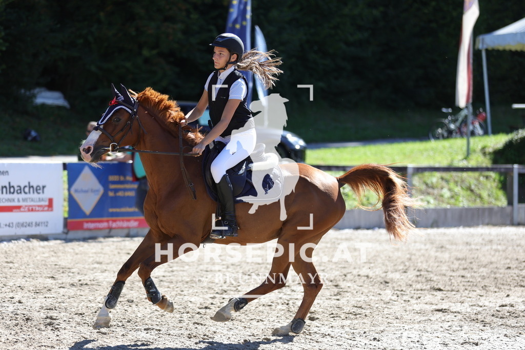 0P6A5197 | Willkommen bei Brunnmayr - Design & Fotografie – Ihrem Spezialisten für Reitturniere und Pferdeveranstaltungen in Oberösterreich, Salzburg und Bayern! Seit über 17 Jahren sind wir leidenschaftlich dabei.