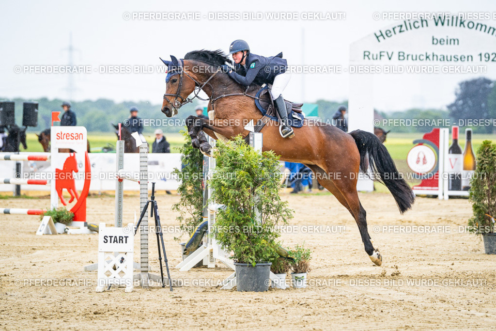 DSC08051 | Pferdegrafie