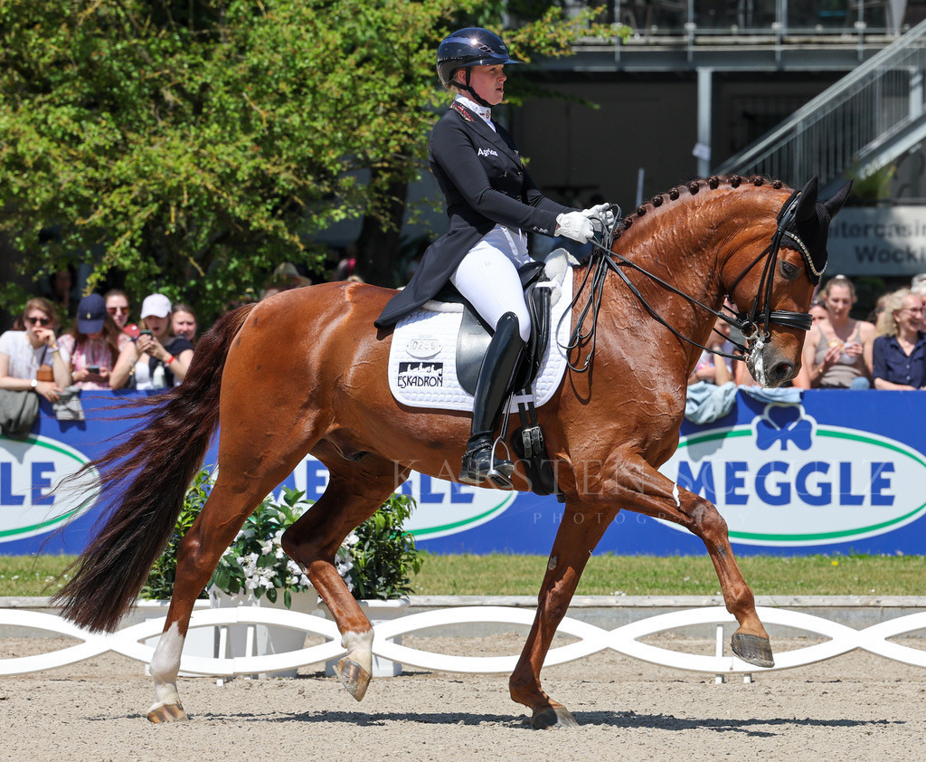 1B3A8470 | Karsten Schulz - Photography