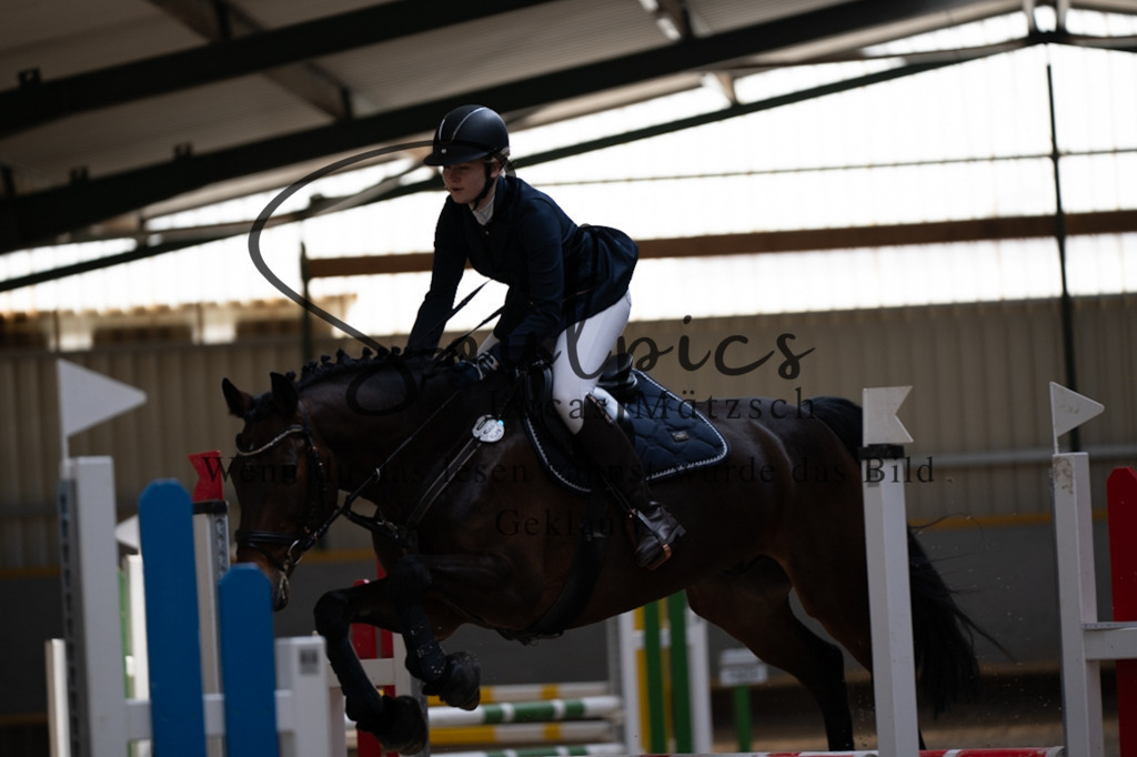 A7V06680 | Pferdefotograf