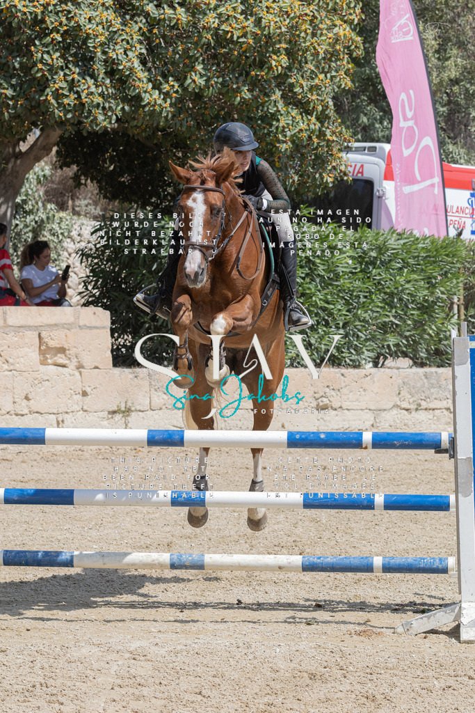 IMG_3405 | s-jay-photography - Realisiert mit Pictrs.com