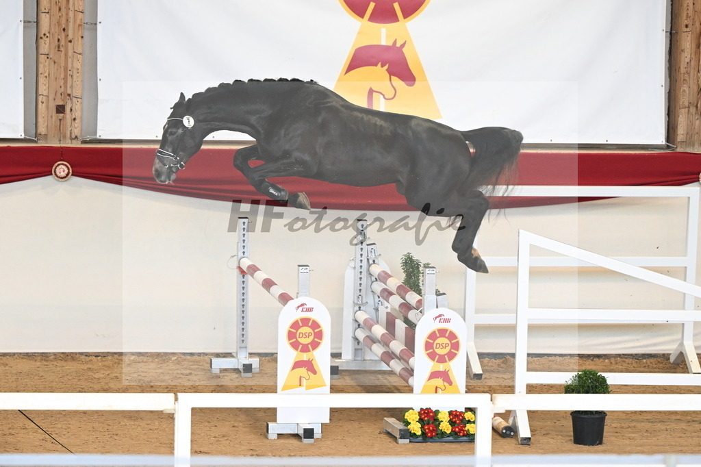 Kat.-Nr. 7 v. Cicero Z_Niehe_3261450 | hf-fotografie - Realisiert mit Pictrs.com
