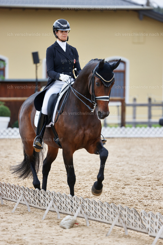 12-110-DRESSUR  S___  -StoibPH-5283 | working equitationturnier fotograf videograf stoibphotography marixx film working equitation deutschland reitsport turnierfotografie eventfotografie equestrian events