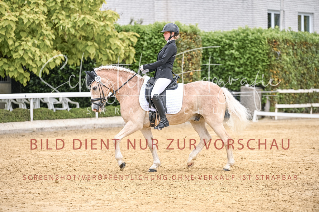 Schugtsche-Aluta25-41.Amat-Dressurprf.A_-551 | Schugtsche Fotografie - Realisiert mit Pictrs.com