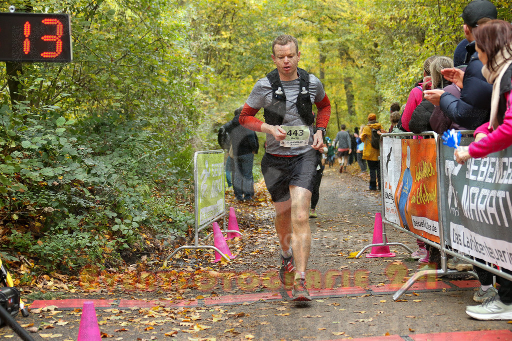 251026_1308_EX1_2633 | Sportfotografie im Rhein-Sieg Kreis, Köln, Bonn, NRW, Rheinland Pfalz, Hessen, etc. Unser Tätigkeitsfeld umfasst den Laufsport vom Volkslauf über den Marathon, Duathlon, Triathon bis zum Ultralauf wie Kölnpfad Ultra oder Schindertrail.
