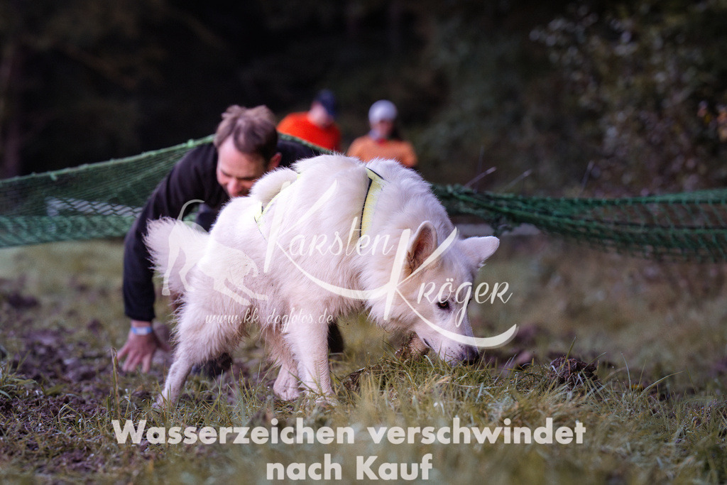 0849_ZZ91083 | kk-dogfotos