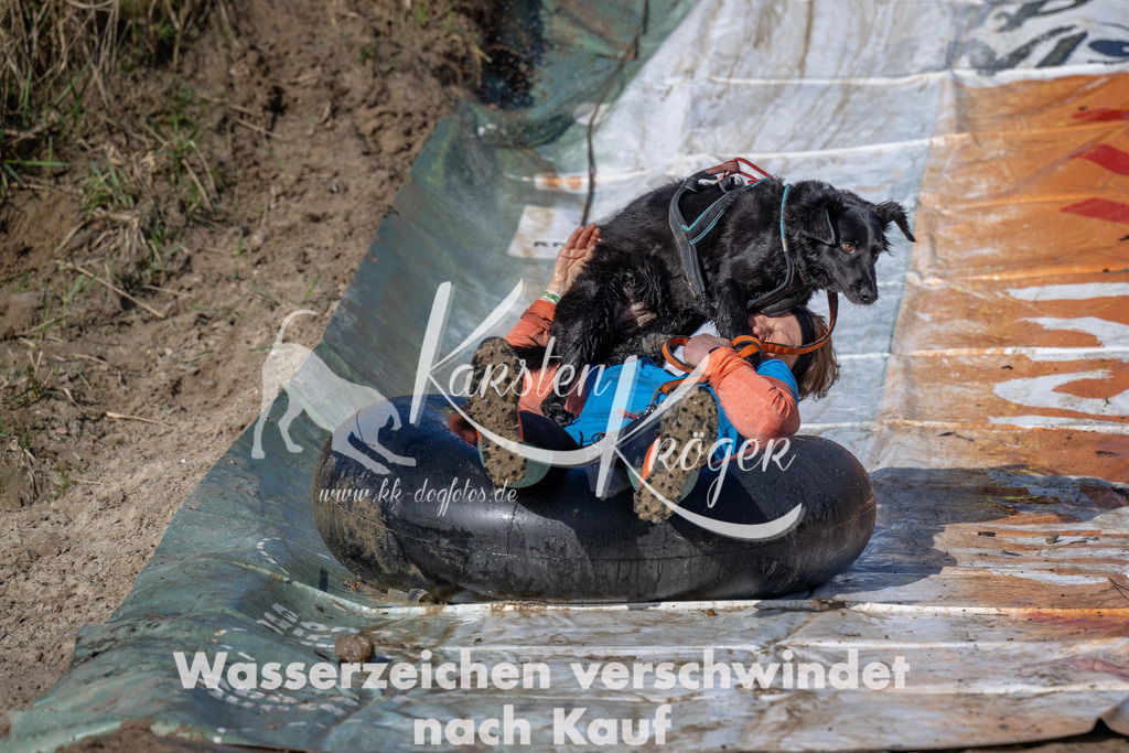 0911_ZZ91125 | kk-dogfotos