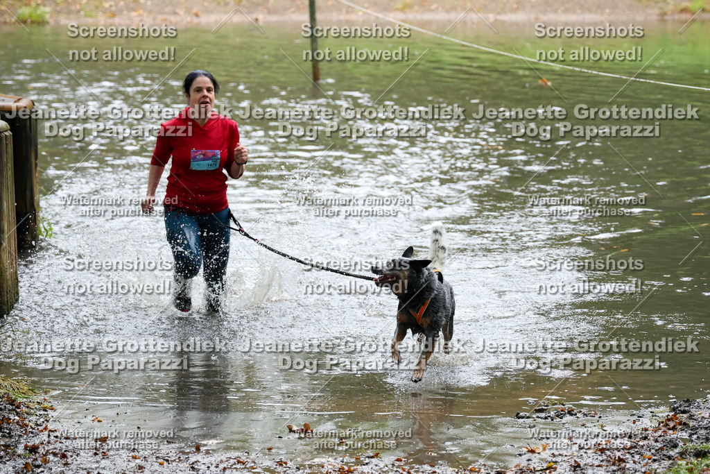 Dog Paparazzi -  SD1026-8446 | Dog Paparazzi Jeanette Grottendiek Fotografie & Videografie - Realisiert mit Pictrs.com