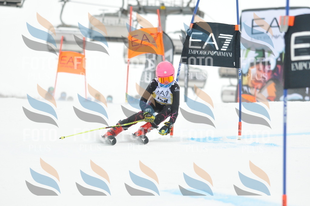 DSC_8081 | holidayphoto