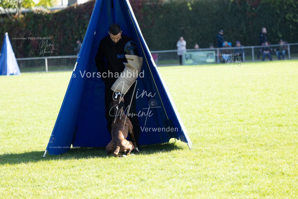 _16A5095 | Einzigartige Fotos von Hunden & Menschen –Actionfotos, Portraits, Vereinsaufnahmen & Paarshootings – authentisch, lebendig & mit Herz.