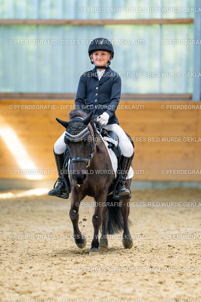 DSC09176 | Pferdegrafie