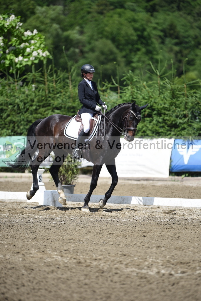 DSC_1165 | equestrian-live-com