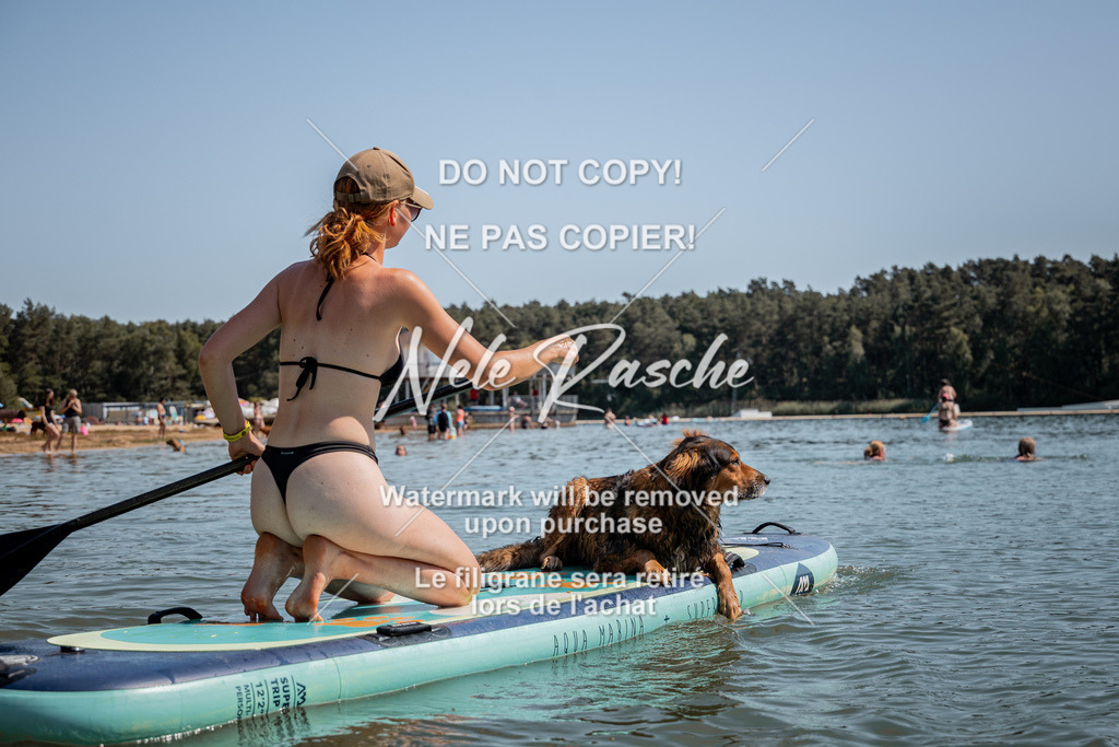 nelerasche_saSUP3_95 | nelerasche