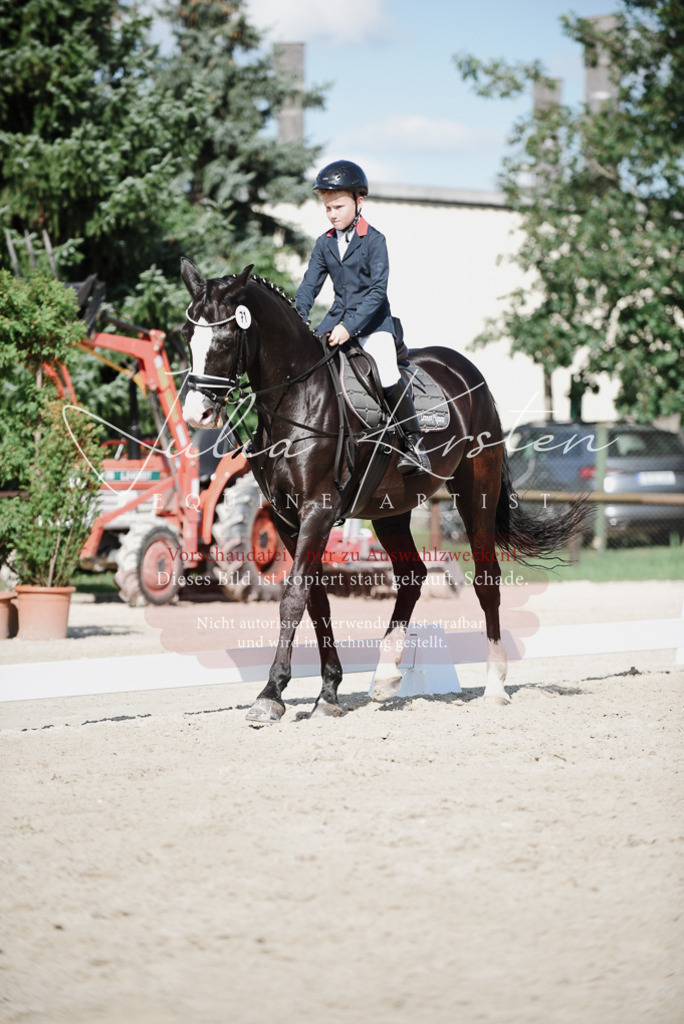 DSC_9923 | Pferde- und Turnierfotografie in Westsachsen. Pferdeportraits, Auftragszeichnungen und intuitive Kunst.