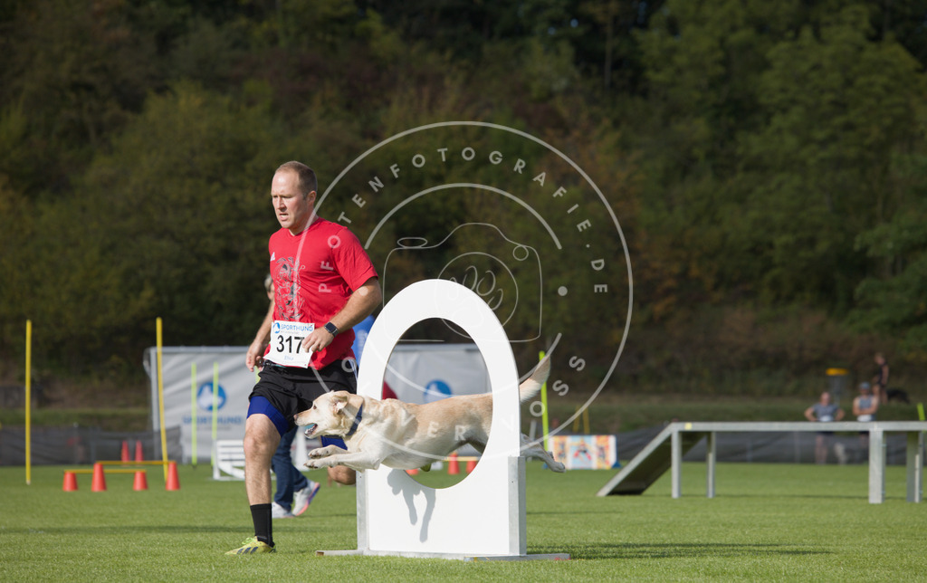 0L8A3793 | Hundefotografie, Tierfotograf, Pfotenfotografie, Fotoshooting Hund, Hunde Portrait, Hundesport, Hundeportraits, Heideshooting, Hunde, Sportfotograf, Hundefotograf, Turnierhundsport, THS,  - Realisiert mit Pictrs.com