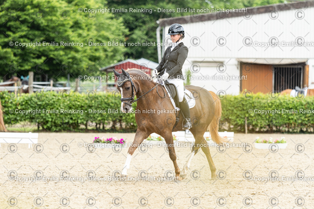 CL5A1380 | Emilia Reinking Fotografie - Realisiert mit Pictrs.com