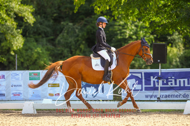 DKP42755 | Turniersportfotografie; Pferdefotografie; Dressurfotografie