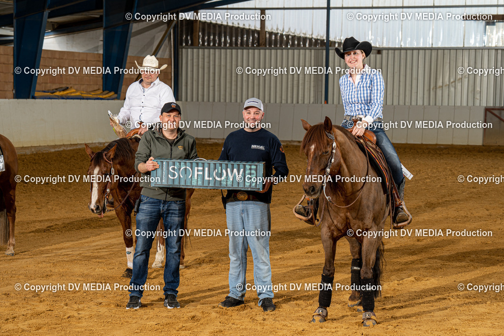 MIT00335 | dv-media-shop - Realisiert mit Pictrs.com