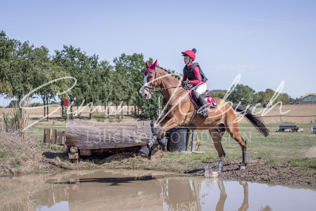 20260906-_3LI3927 | Tierfotografie Pferde, Hunde, Katzen, Haustiere.
Turnierfotografie Reitturniere, Reiten, Springreiten, Dressur in Hanau, dem Main-Kinzig-Kreis und dem Rhein-Main- Gebiet um Frankfurt