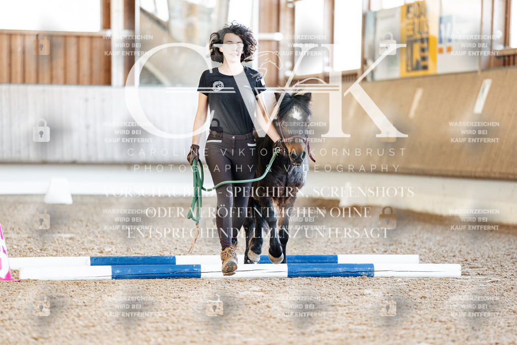 CK905194 | Turnierfotografie Pferdefotografie Trier Rheinland-Pfalz Pferdesport Reitsport Tierfotografie Sportfotografie Pferdevideo Pferdevideografie Equestrianvideography equestrianphotography  - Realisiert mit Pictrs.com