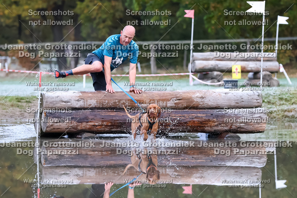 Dog Paparazzi - Strongdog 10-25-6102 | Dog Paparazzi Jeanette Grottendiek Fotografie & Videografie - Realisiert mit Pictrs.com
